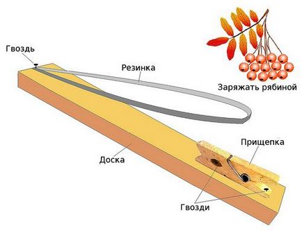 Veszélyes a gyermekkori szórakoztató