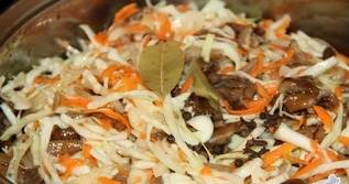 Gomba, savanyú káposzta - lépésről lépésre recept fotó (receptek) Gomba, savanyú káposzta - lépésről lépésre recept fotók