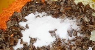 Gomba, savanyú káposzta - lépésről lépésre recept fotó (szakács) Gomba, savanyú káposzta - lépésről lépésre recept fotók