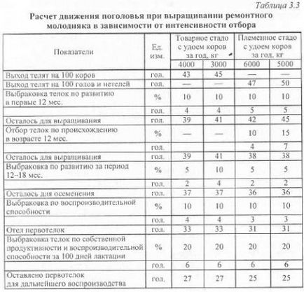 Organizarea efectivului în condițiile tehnologiei industriale - materiale agricole agroecvente