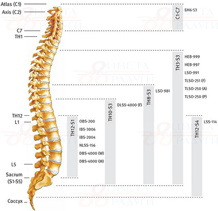 Corsete ortopedice pentru orlett® coloanei vertebrale