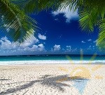 Fiecare turist se poate relaxa în Cancun, această stațiune prezintă aproximativ 200 de hoteluri de la buget
