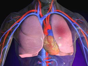 Набряк легень, види легеневого набряку дорослої людини, причини і наслідки даного захворювання і