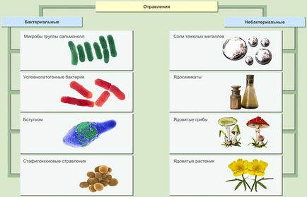 Otrăviri - primele simptome de tratament