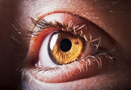 Detoxifierea retinei provoacă, simptome, ce este, tratament cu remedii folclorice,