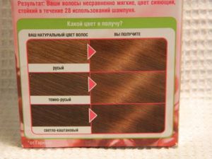 Feedback despre culorile de păr garnier color naturals and garnier color shine