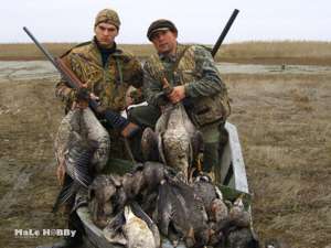 Полювання на гусей для новачків, початківців що взяти з собою, що треба знати, тонкощі полювання