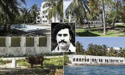 Pablo Escobar - biografie, fotografie, viață personală, soție, copii, cauza morții