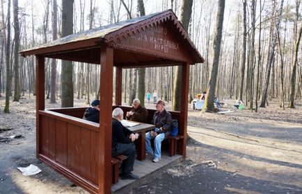 Парки москви, де можна смажити шашлики - статті - арріво