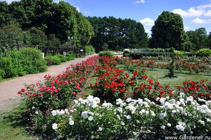 Parcul de cultură și falconii de odihnă