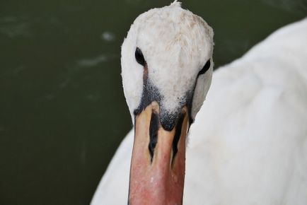 Parcul Versailles - știri în fotografii