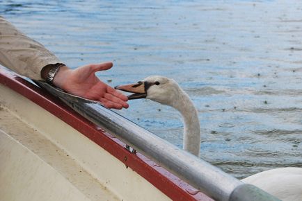 Parcul Versailles - știri în fotografii