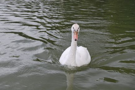 Parcul Versailles - știri în fotografii