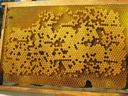 Bee fagure de miere, șterge