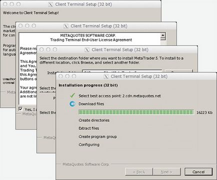 Platforme metatrader 4 și metatrader 5 pentru mac os