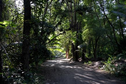 Plajele de pe insula Mahe cum să vezi cele mai bune pe Seychelles