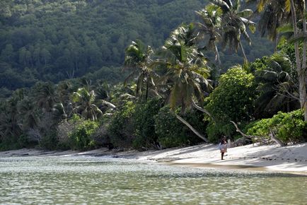 Plaje pe insula Mahe cum să vezi cele mai bune pe Seychelles