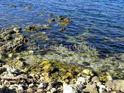 Beach - Victory Park - Szevasztopolban, zot Sevastopol