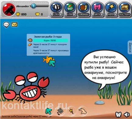 Underwater lume joc vkontakte rupere, secrete, bug-uri și trucuri