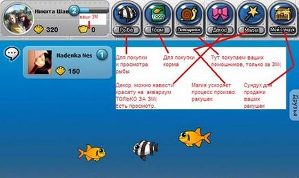 Підводний світ - огляд і секрети додатки вконтакте