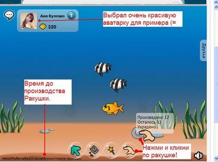 Lumea subacvatică - recenzie și secrete ale aplicației Vkontakte