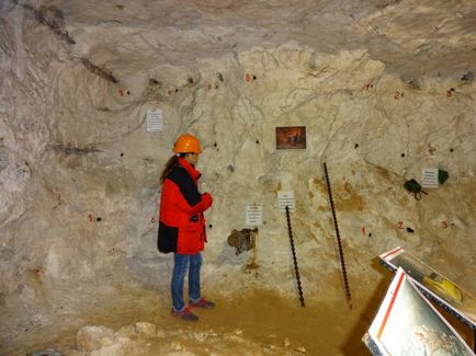 Excursie la Muzeul de Minerit