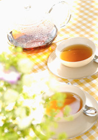 Hasznos tulajdonságai tea számára a szépség, a hatás a zöld tea tea és egészség,