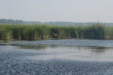 În Siberia - un lac mare, districtul Sharypovo