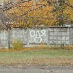 Kérjük, sétálni a kutyát pórázon, a (hogy egy kutya póráz) Kérjük, séta a kutya, pórázon