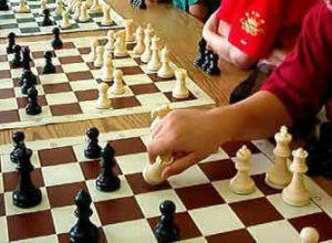 Правила гри в шахи для початківців, шахи