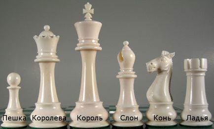 Reguli pentru jocul de șah pentru începători, șah