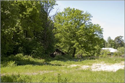 Rezervația naturală Prioksko-terraced