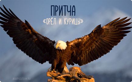 Притча орел і кури