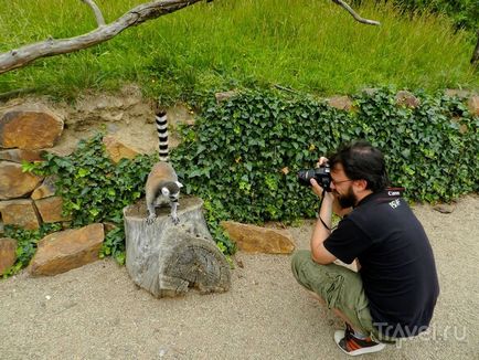 O plimbare prin grădina zoologică din Praga