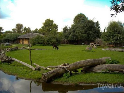 O plimbare prin grădina zoologică din Praga