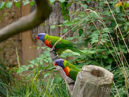 O plimbare prin grădina zoologică din Praga