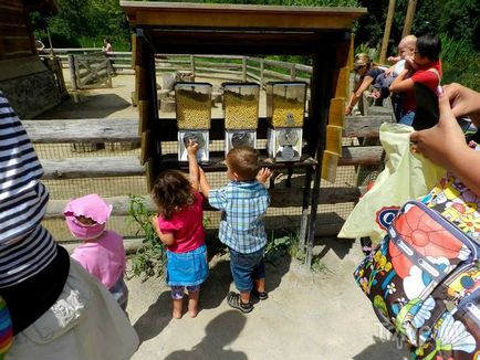 O plimbare prin grădina zoologică din Praga