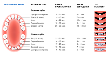 прорізування зубів