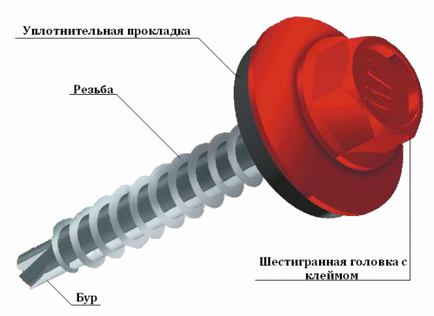 Витрата саморізів на 1м2 профлиста для покрівлі та скільки листів покриття потрібно для даху -