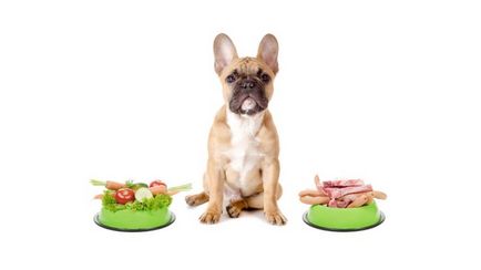 Dieta câinelui cu hrană naturală