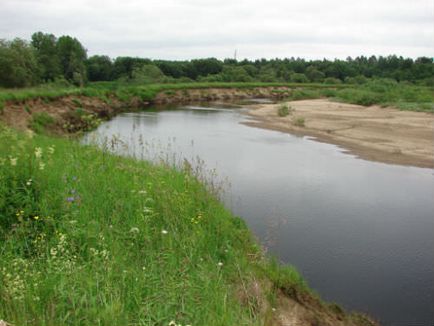 Річка Толшма змінює русло, лісова комора