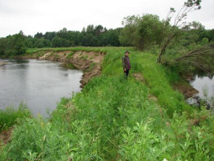 Річка Толшма змінює русло, лісова комора