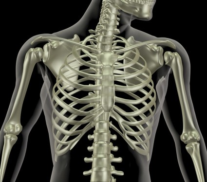 X-ray de spate în ceea ce caracteristici