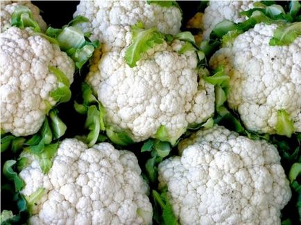 Рецепт пюре з цвітної капусти для грудничка скільки і як варити овоч