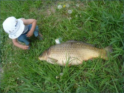 Pescuitul în Senesze - un lac din Solnechnogorsk, pescuit plătit și recenzii turistice