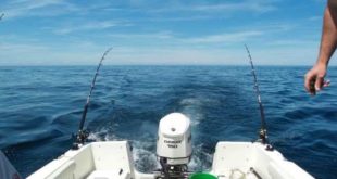 Риболовля тролінг - все про лов риби троллінгом від а до я