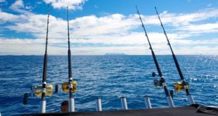 Trollingul de pescuit - totul despre prinderea peștilor de la un animal la altul
