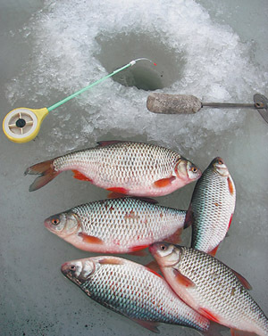 Horgászat Szibériában