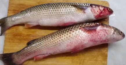 Рибні страви, домашні рецепти риби пеленгас в духовці