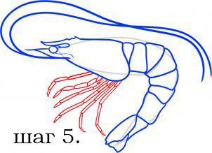 малюємо креветку